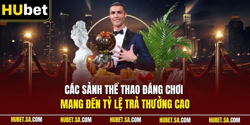 Các sảnh thể thao đáng chơi mang đến tỷ lệ trả thưởng cao